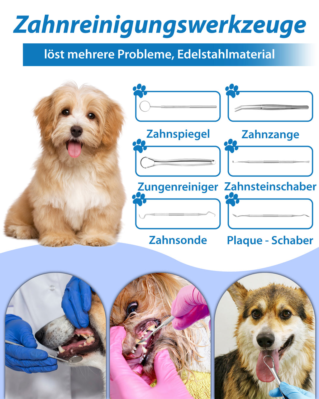 Ultraschall Zahnsteinentferner Zahnreinigung für Hund, 14 Teiliges Set Zahnbürste Zahnreinigungsset Hunde Zahnstein Entfernen selbst, Elektrische Zahnreiniger mit 5 Modi/LED-Licht (Schwarz)