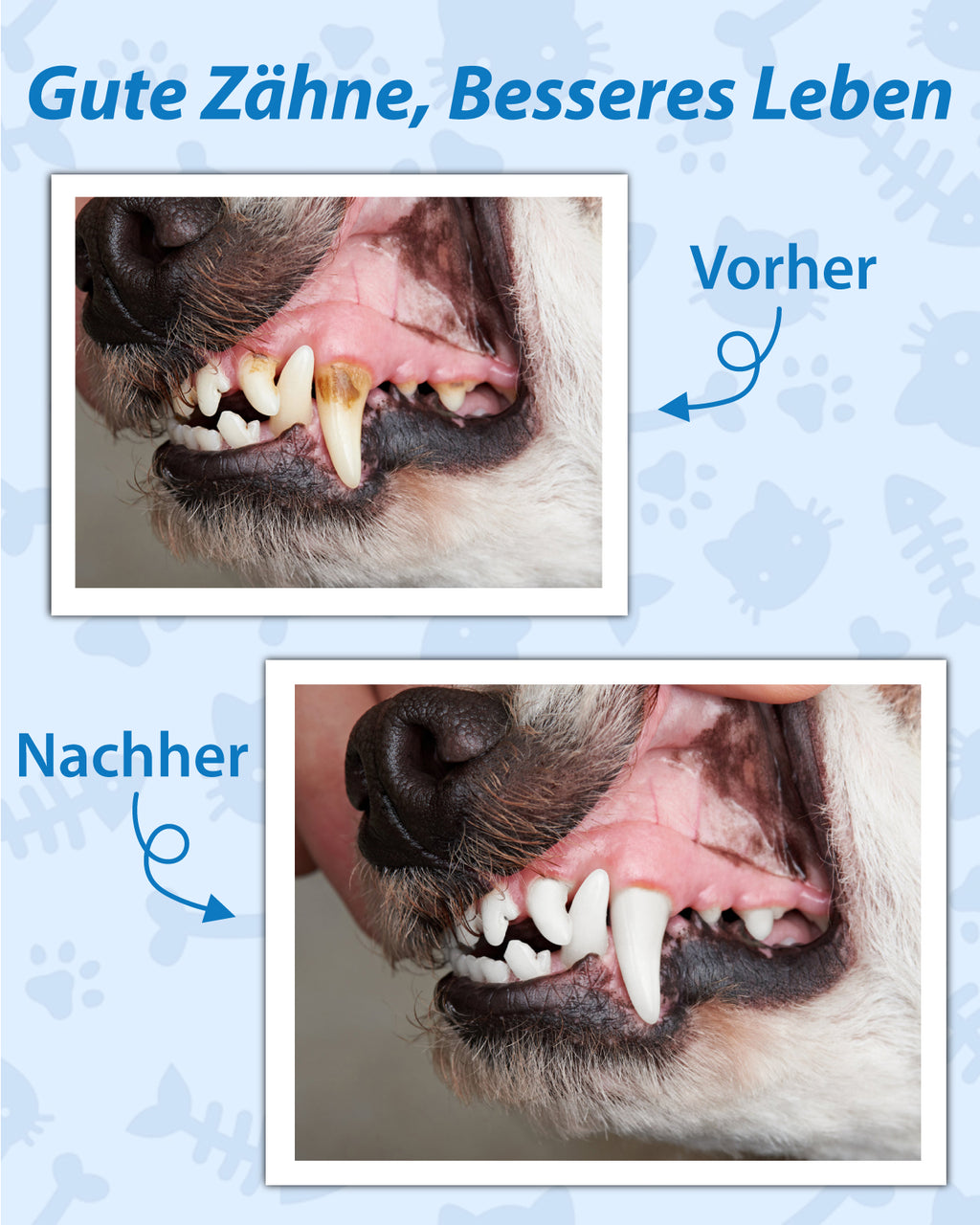 Ultraschall Zahnsteinentferner Zahnreinigung für Hund, 14 Teiliges Set Zahnbürste Zahnreinigungsset Hunde Zahnstein Entfernen selbst, Elektrische Zahnreiniger mit 5 Modi/LED-Licht (Schwarz)